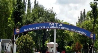 Sayıştay'dan o detay kaçmadı