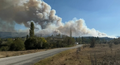 Türkiye'nin ciğerleri alevlere teslim