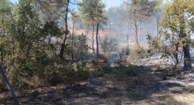 Bolu Göynük'te Yangın Kontrol Altına Alındı