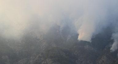 Denizli'de ormanlar üç gündür cayır cayır yanıyor!