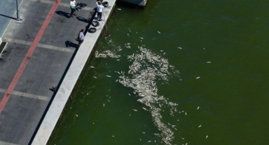 İzmir Körfezi'nde çevre kirliliğine karşı önlem