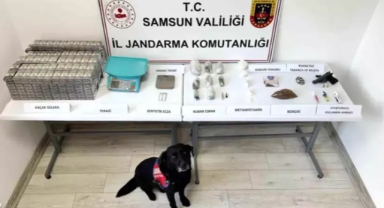 Jandarmadan Uyuşturucu Operasyonu