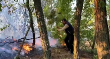 Kahramanmaraş’ta orman yangını