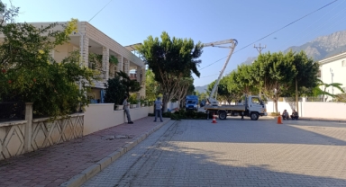 Kemer Belediyesi, Yeşil Alanlarda Bakım ve Temizlik Çalışmaları Gerçekleştiriyor