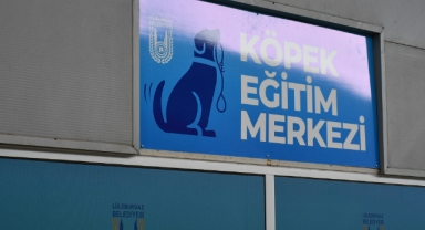 Lüleburgaz Belediyesi’nden Örnek Proje: Köpek Eğitim Merkezi Açılıyor