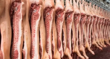 Türkiye Sudan'dan domuz eti mi ithal ediyor?