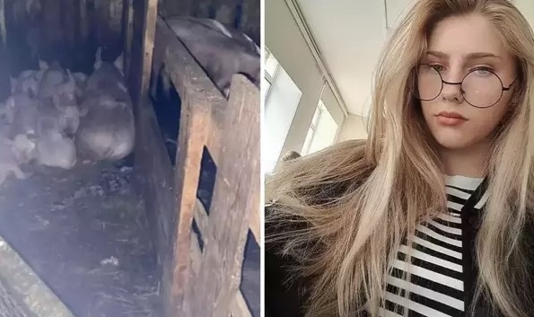 17 yaşındaki genç kız, parçalanarak öldürüldü