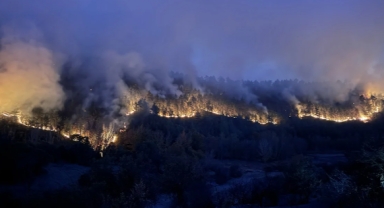 Alevler yerleşim yerine yaklaştı