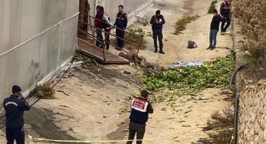 Antalya'da serada iş kazası