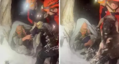 Donmak üzereyken bile kuzularına bırakmadılar 