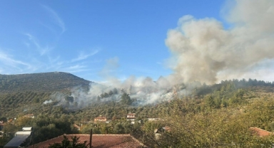 Muğla'da orman yangını