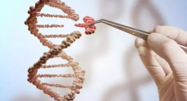 Türklerin en çok benzediği millet belli oldu