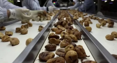 İhracattan geri dönen ürünlerin akıbeti belli oldu