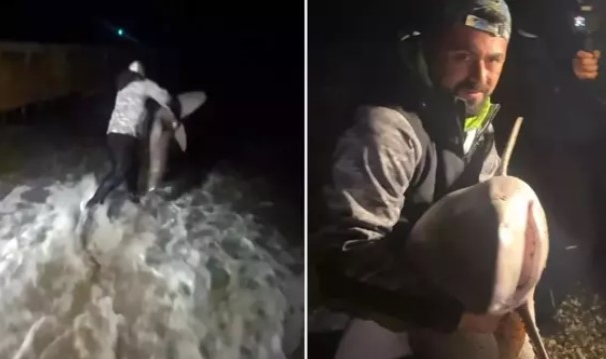 Köpek balığını hiç korkmadan kucağına aldı