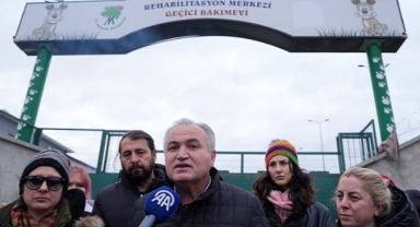 Mamak’ta hayvan barınağında katliam iddiası