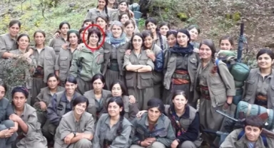 MİT'ten Suriye Kamışlı'da operasyon