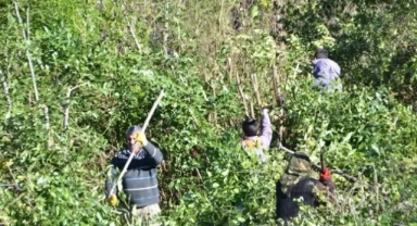 Aylık 50 bin TL kazanıyorlar