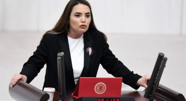 Ayyüce Türkeş hakkında suç duyurusu 