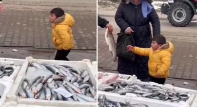 Balık alamadıkları için ağlayan çocuk