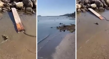 İzmir'den gelen görüntü tedirgin etti