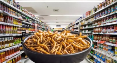 Marketler artık un kurdu larvası satılacak 