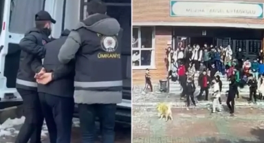 Okul bahçesinde köpek saldırısı