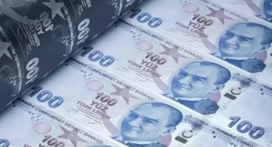 Yeni 100 TL banknotlar bugün tedavüle çıkıyor
