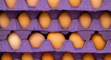 ABD'deki yumurta krizine Türkiye damga vurdu 