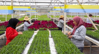 Antalya, Kadın İstihdamı ile Güçleniyor: Şehre Kadın Eli Değiyor