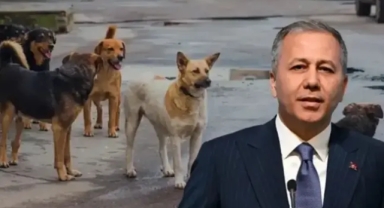 'Müfettişler belediyeleri denetleyecek'