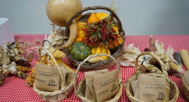 Bornova Belediyesi'nden Ekolojik Tarıma Destek: Kompost Gübre Eğitimi ve Atalık Tohum Dağıtımı