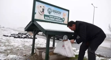 Beslediği köpekler 2 yaşındaki çocuğu parçaladı