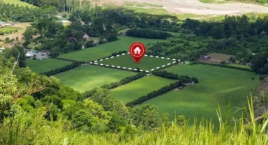 Kamuya ait bina ve araziler satılacak