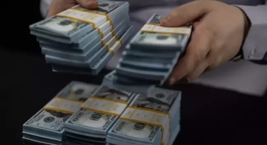 Merkez Bankası'ndan kritik döviz hamlesi 