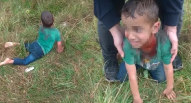 Sahipsiz köpekler 5 yaşındaki çocuğa saldırdı