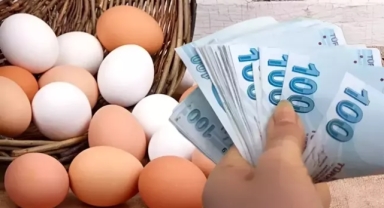 Yumurtada fahiş fiyata tedbir 