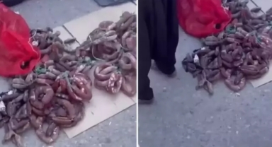 Burası Hindistan değil Türkiye