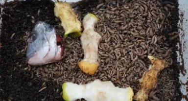 Devrim niteliğinde buluş!