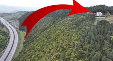 'Herkesten nefret ediyorum' evi satışa çıktı!