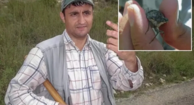 Keşfedilen böcek türüne eşinin ismini verdi