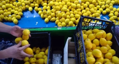 Mutfakların vazgeçilmezi ülkeden çıkamayacak