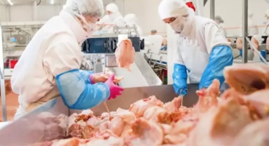 Şenpiliç büyük gıda skandalını 'Üzgünüz' ifadesiyle geçiştirdi