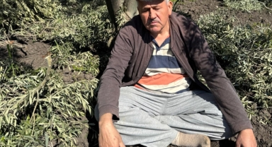 Soma’da Don Felaketi Zeytin Üreticisini Vurdu: “35 Yıldır Böyle Afet Görmedim”