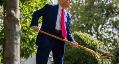 Trump Beyaz Saray bahçesinde ağaç dikti