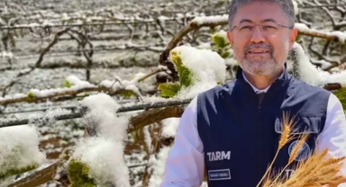 Türkiye tarihinin en büyük zirai don olayı