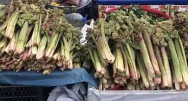 Ünü ABD'ye kadar yayıldı