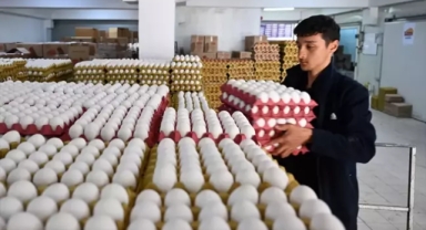 Yumurta fiyatlarında büyük değişiklik 