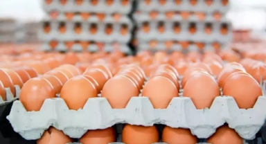 Almanya'da kahverengi yumurta satışı kısıtlandı