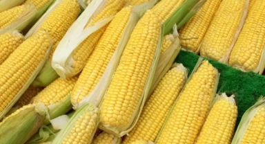 Bir ürünün ithalatında gümrük vergisi sıfırlandı 