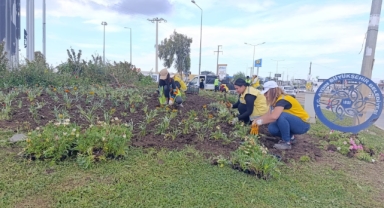 Didim’de Aydın Büyükşehir’den Kapsamlı Çalışmalar: İlçe Güzelleşiyor